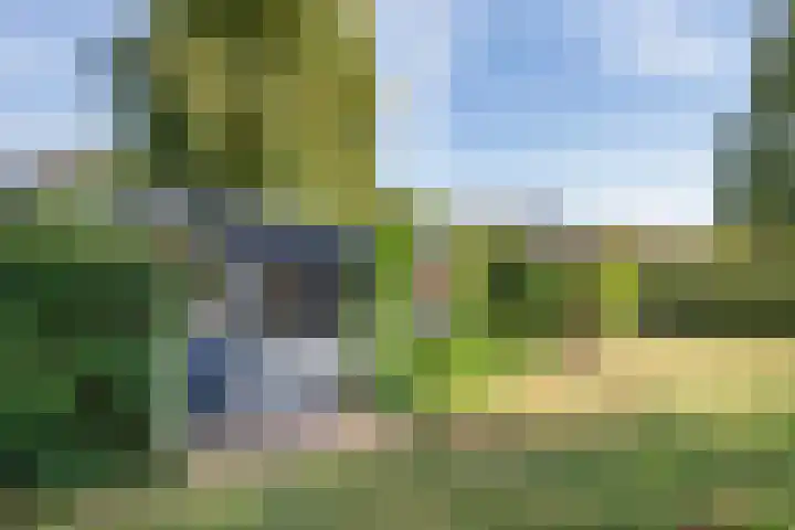 Mr. Thorbeckestraat 15 Tiel thumbnail 37