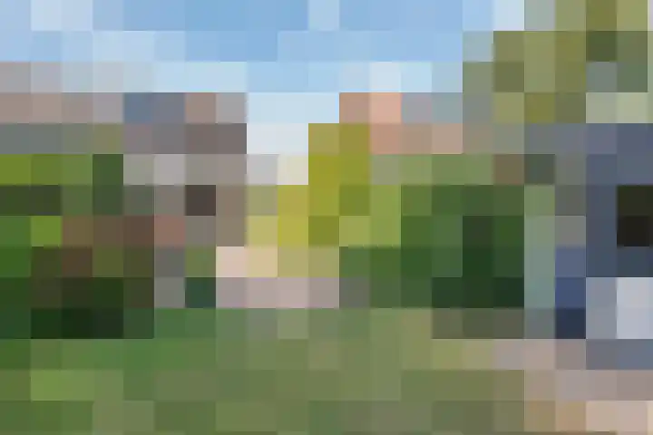 Mr. Thorbeckestraat 15 Tiel thumbnail 38