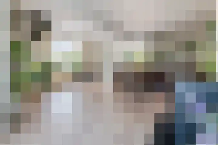 Mr. Thorbeckestraat 15 Tiel thumbnail 4