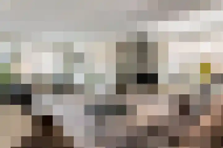 Mr. Thorbeckestraat 15 Tiel thumbnail 5