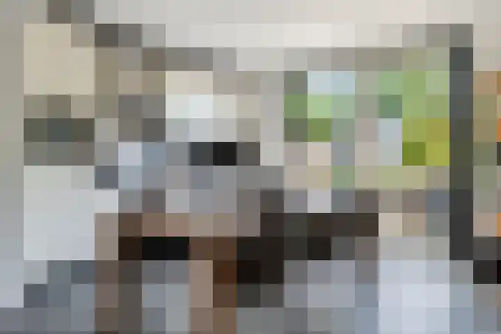 Mr. Thorbeckestraat 15 Tiel thumbnail 6