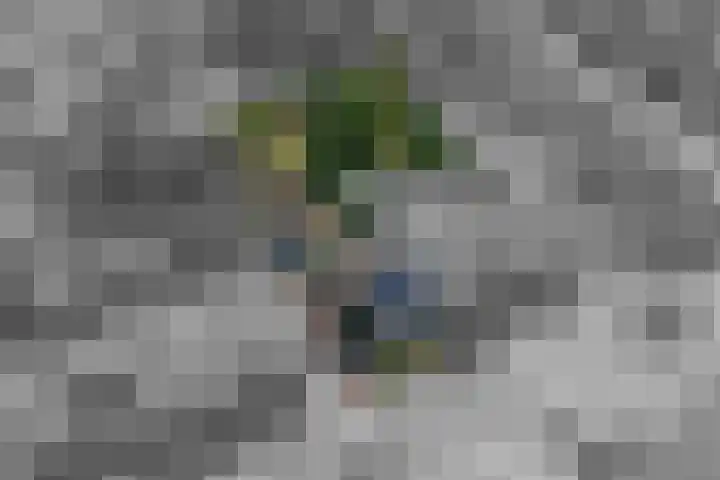 Mr. Thorbeckestraat 15 Tiel thumbnail 61