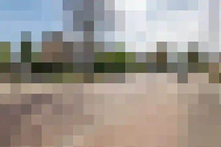 Mr. Thorbeckestraat 15 Tiel thumbnail 8