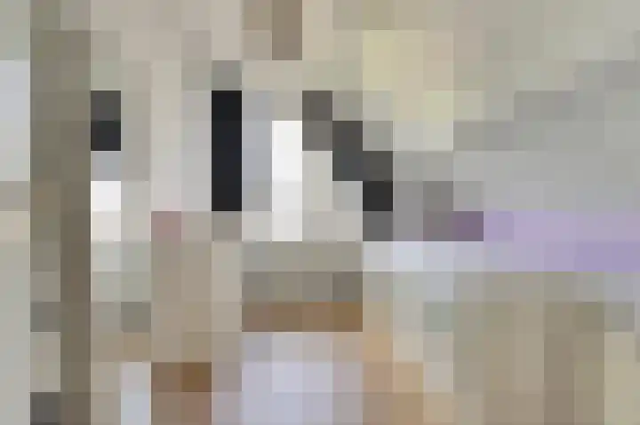 Mr. Thorbeckestraat 28 Ridderkerk thumbnail 32