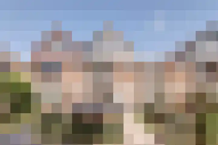 Mr. Thorbeckestraat 28 Ridderkerk thumbnail 4