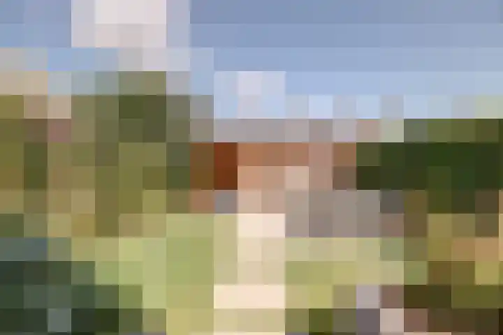 Mr. Thorbeckestraat 28 Ridderkerk thumbnail 42