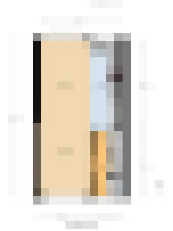 Mr. Thorbeckestraat 28 Ridderkerk thumbnail 46