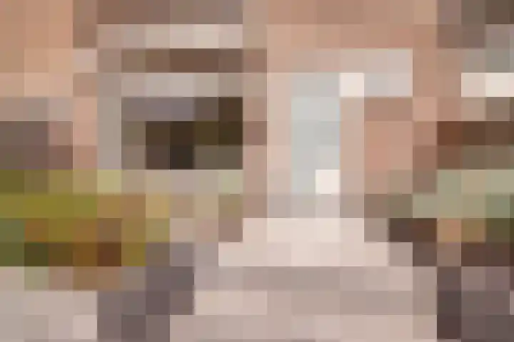 Mr. Thorbeckestraat 28 Ridderkerk thumbnail 8
