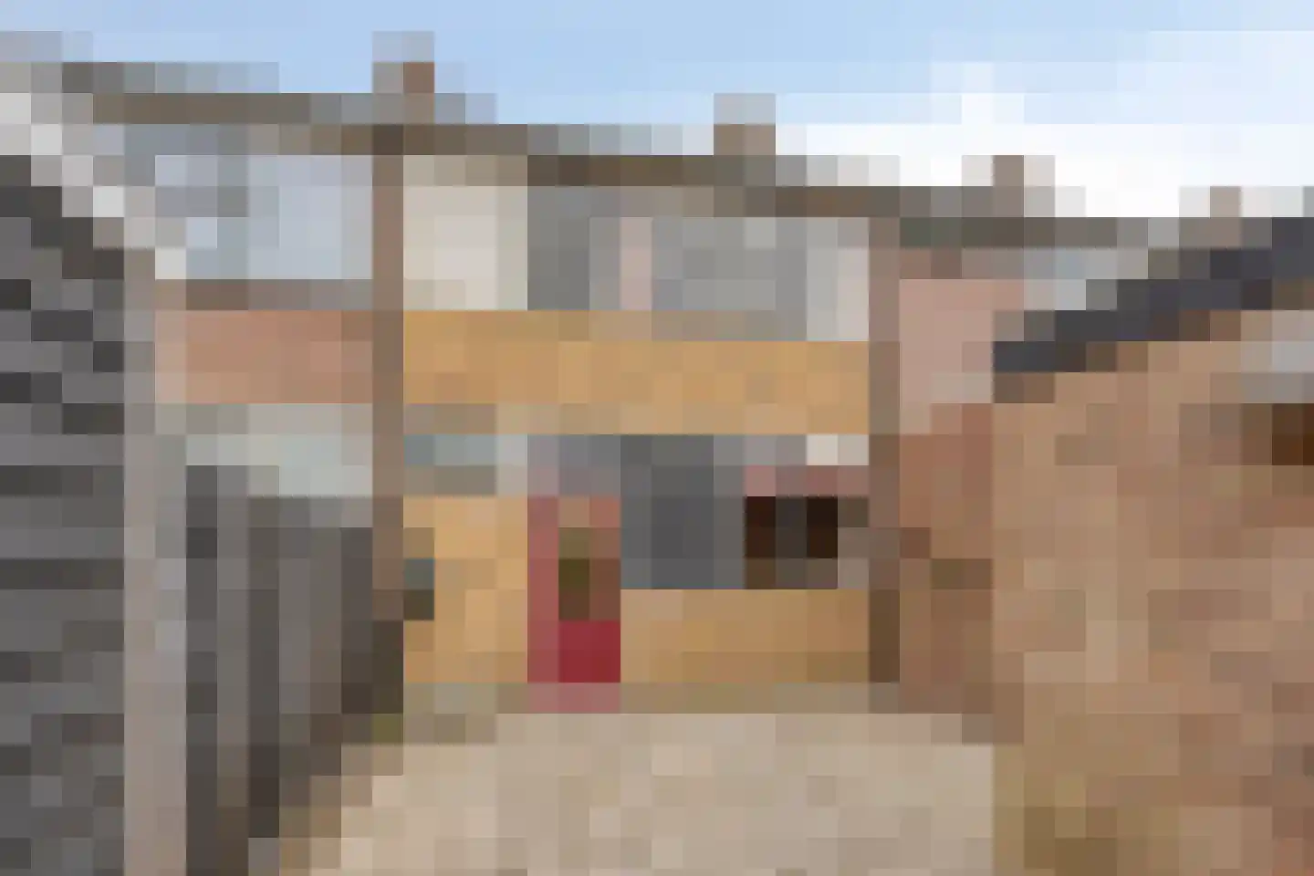 Mr.Thorbeckestraat 34 Wolvega thumbnail 20