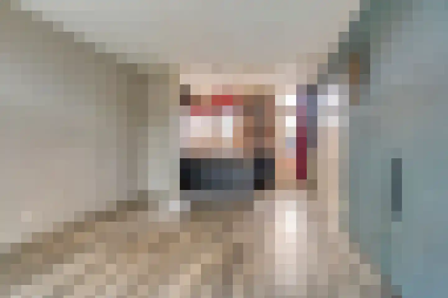Mr.Thorbeckestraat 34 Wolvega thumbnail 7
