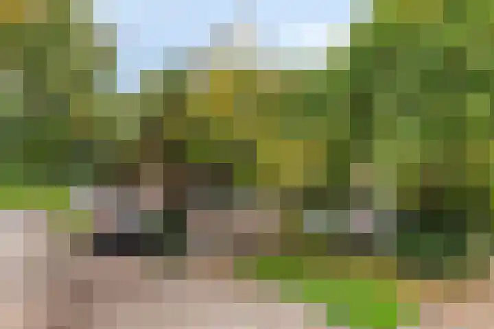 Mr. Thorbeckestraat 46 in Ridderkerk