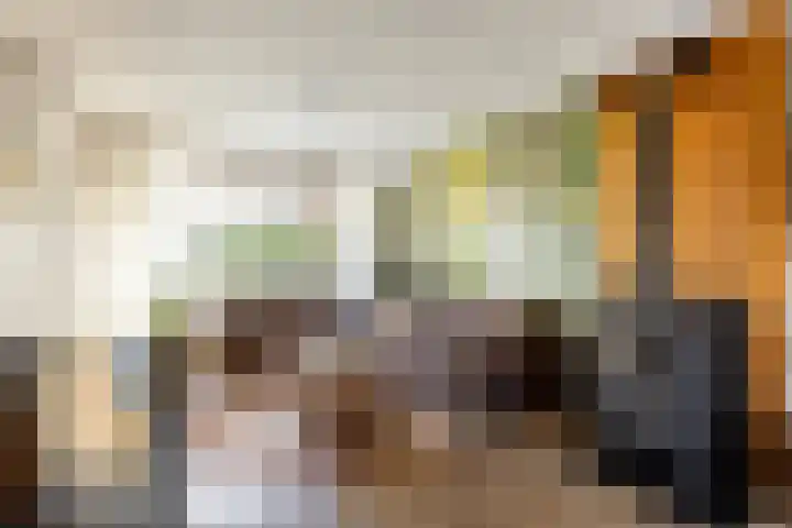 Mr. Thorbeckestraat 5 Ridderkerk thumbnail 10