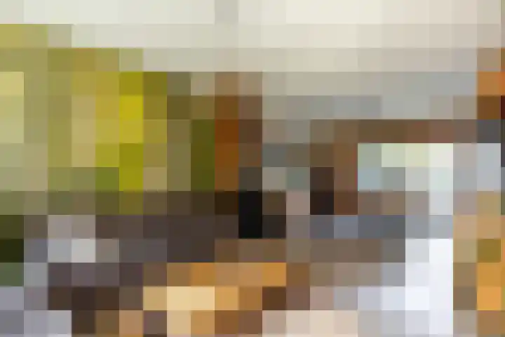 Mr. Thorbeckestraat 5 Ridderkerk thumbnail 12