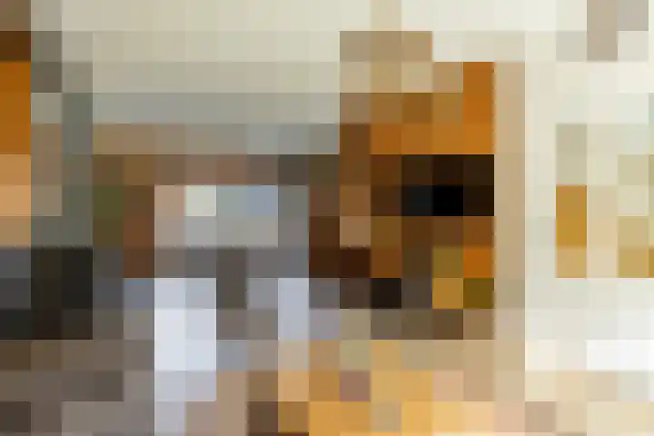 Mr. Thorbeckestraat 5 Ridderkerk thumbnail 13