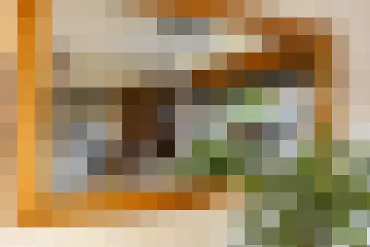 Mr. Thorbeckestraat 5 Ridderkerk thumbnail 15