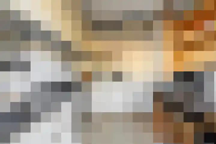 Mr. Thorbeckestraat 5 Ridderkerk thumbnail 17