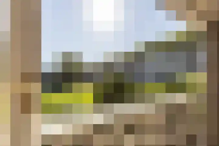 Mr. Thorbeckestraat 5 Ridderkerk thumbnail 22