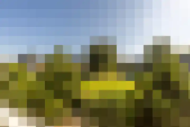 Mr. Thorbeckestraat 5 Ridderkerk thumbnail 23