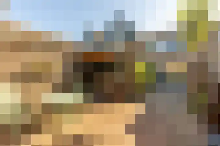Mr. Thorbeckestraat 5 Ridderkerk thumbnail 26