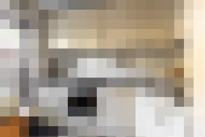 Mr. Thorbeckestraat 5 Ridderkerk foto 3