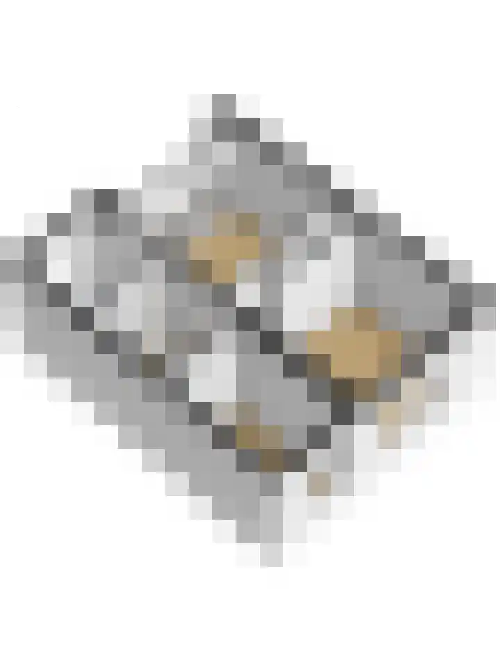 Mr. Thorbeckestraat 5 Ridderkerk thumbnail 35