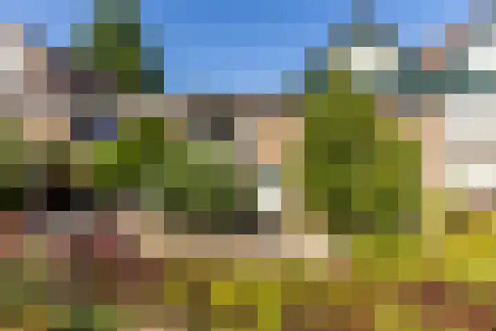 Mr. Thorbeckestraat 5 Ridderkerk thumbnail 5
