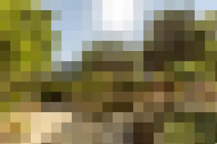 Mr. Thorbeckestraat 5 Ridderkerk thumbnail 6