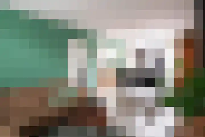 Mr. Treubstraat 10 Ridderkerk thumbnail 5