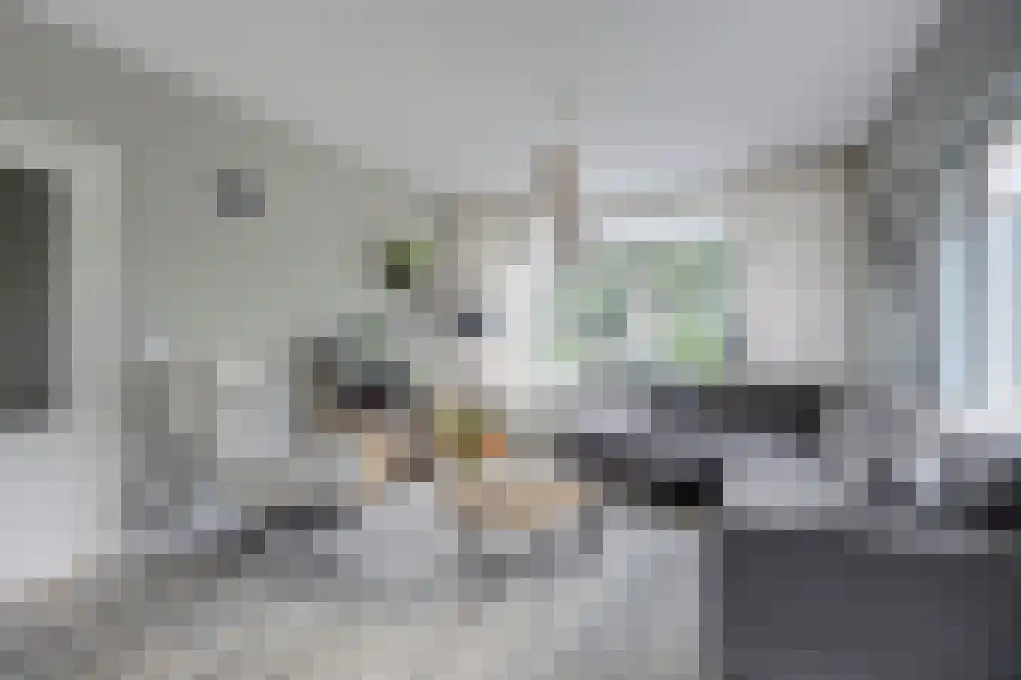 Mr. Treubstraat 5 Ridderkerk thumbnail 13