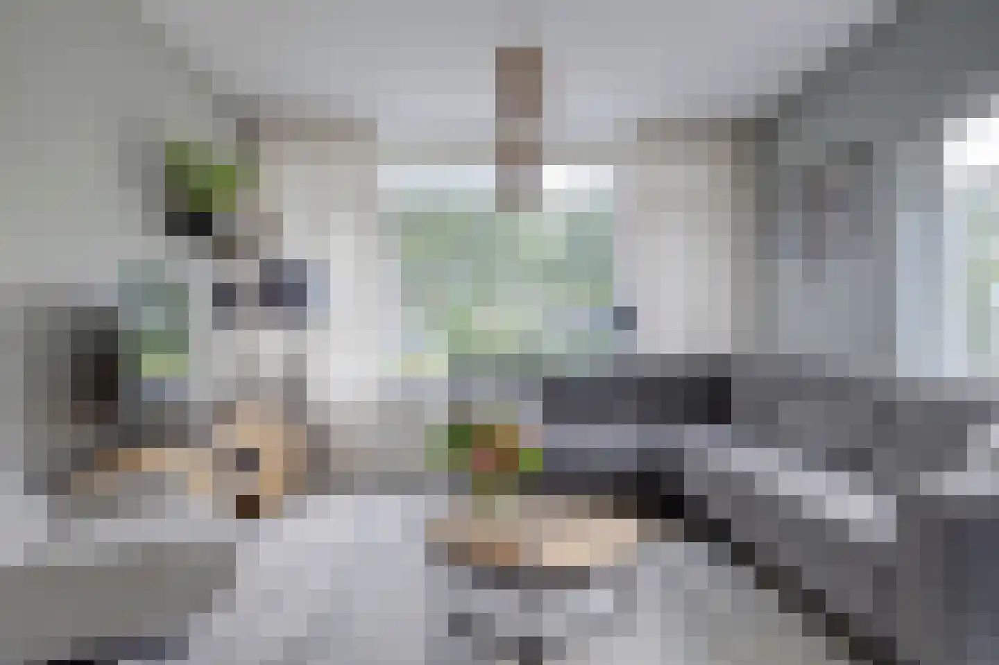 Mr. Treubstraat 5 Ridderkerk thumbnail 14