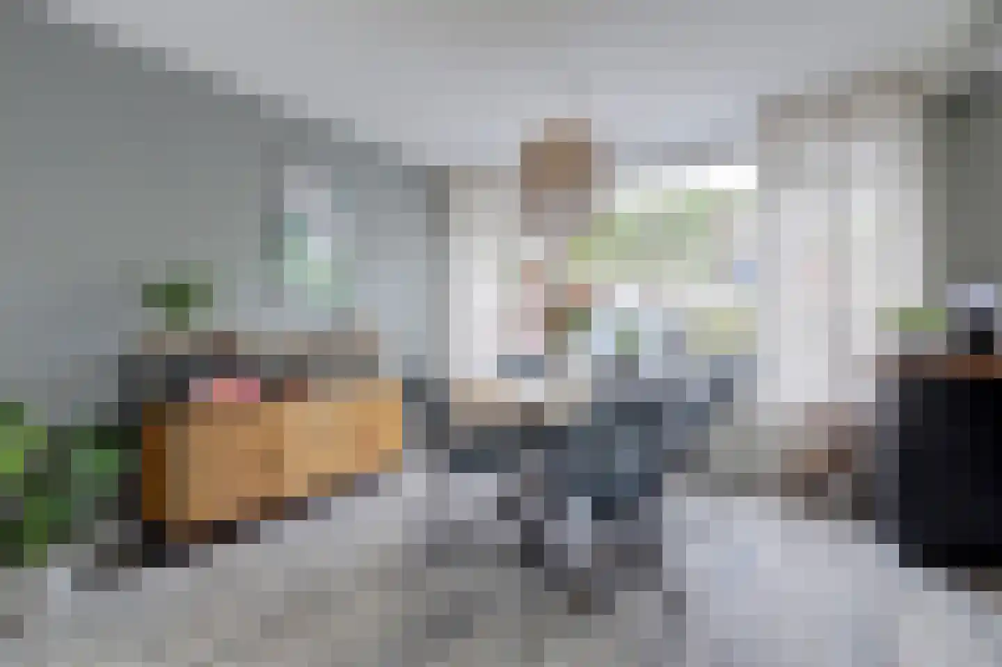 Mr. Treubstraat 5 Ridderkerk thumbnail 16
