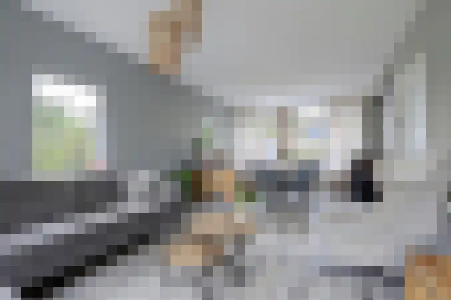 Mr. Treubstraat 5 Ridderkerk thumbnail 4