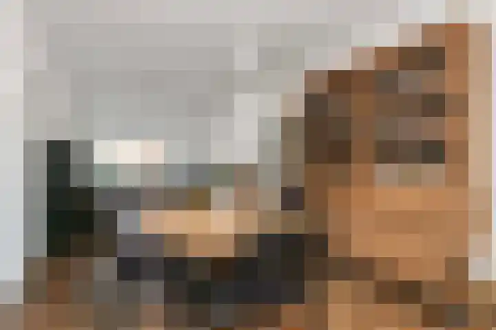 Mr. Tripkade 36 Utrecht thumbnail 12
