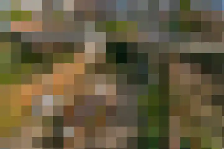 Mr. Tripkade 36 Utrecht thumbnail 22