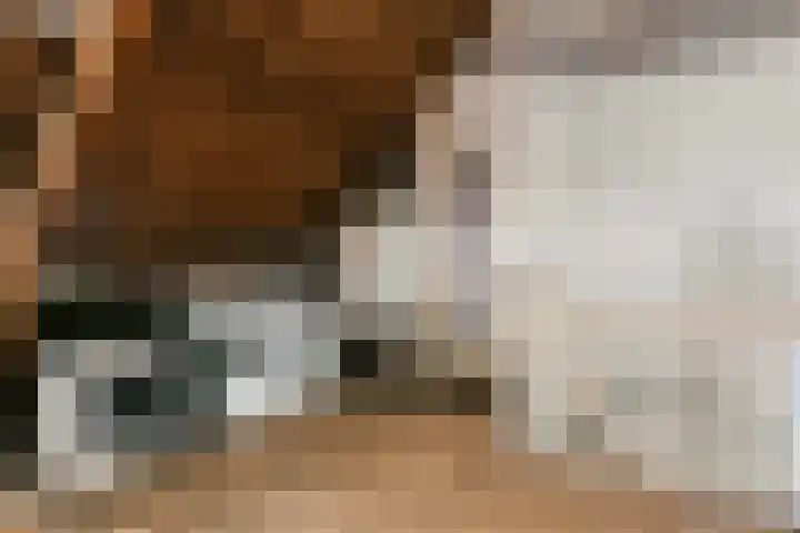 Mr. Tripkade 36 Utrecht thumbnail 26