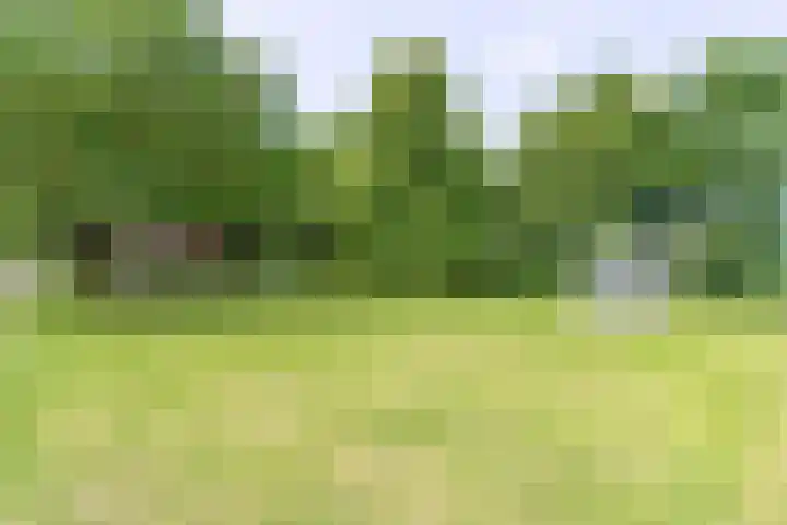 Mr. Tripkade 36 Utrecht thumbnail 30