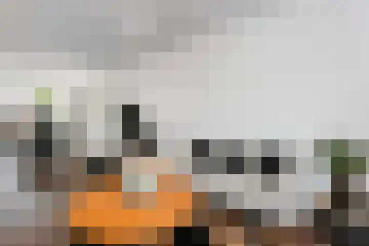 Mr. Tripkade 36 Utrecht thumbnail 6
