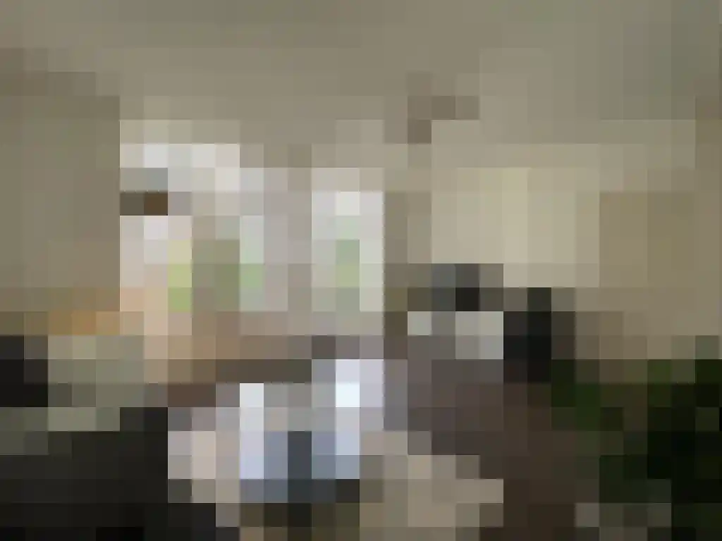 Mr. Troelstralaan 10 Amstelveen thumbnail 5