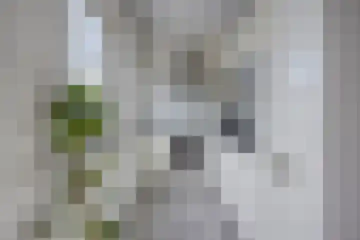 Mr. Troelstralaan 24 Amstelveen thumbnail 12