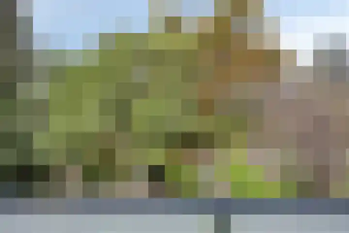 Mr. Troelstralaan 24 Amstelveen thumbnail 36