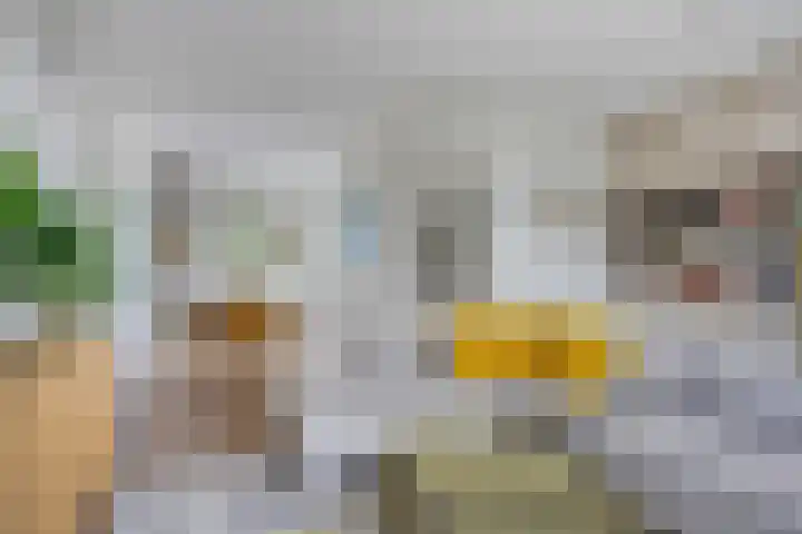 Mr. Troelstralaan 24 Amstelveen thumbnail 9
