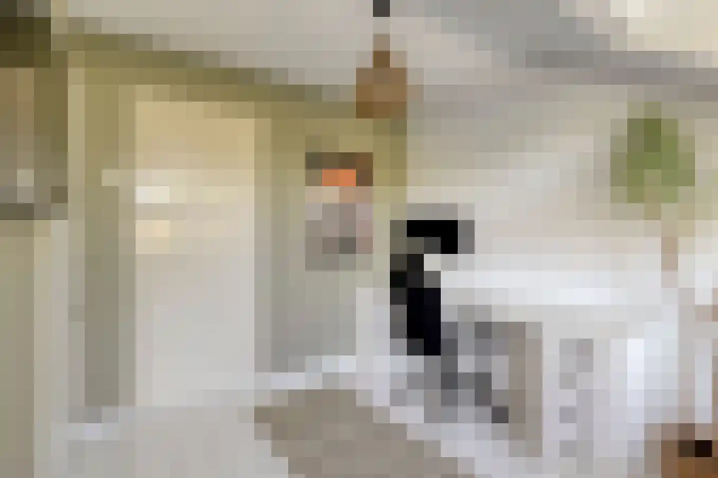 Mr. Troelstralaan 30 Amstelveen thumbnail 23