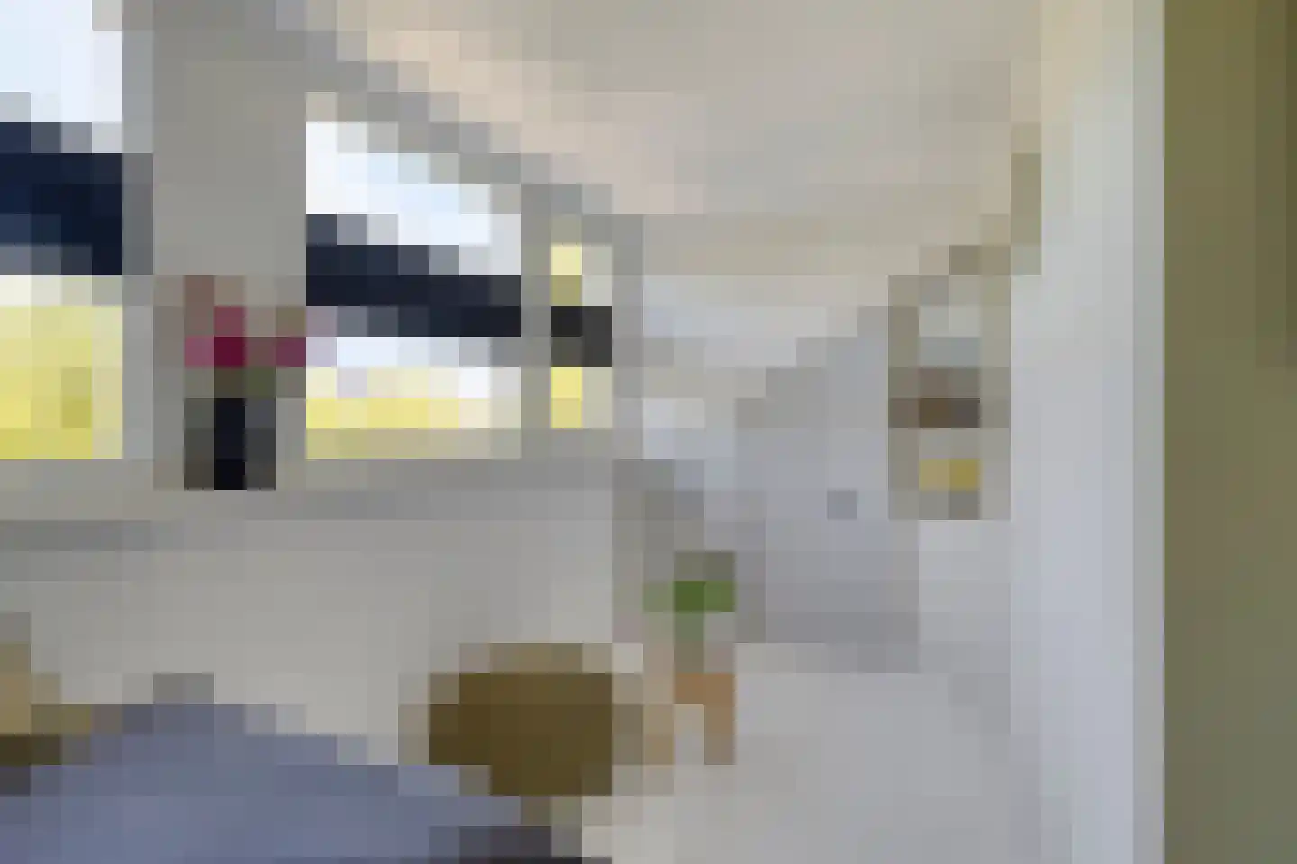 Mr. Troelstralaan 30 Amstelveen thumbnail 24