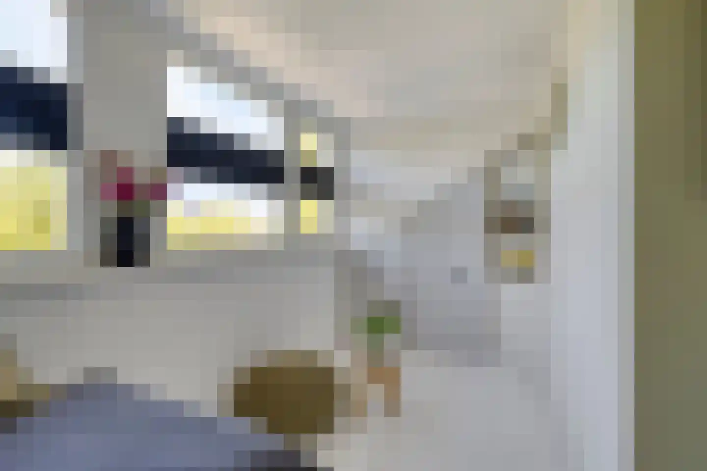 Mr. Troelstralaan 30 Amstelveen thumbnail 25