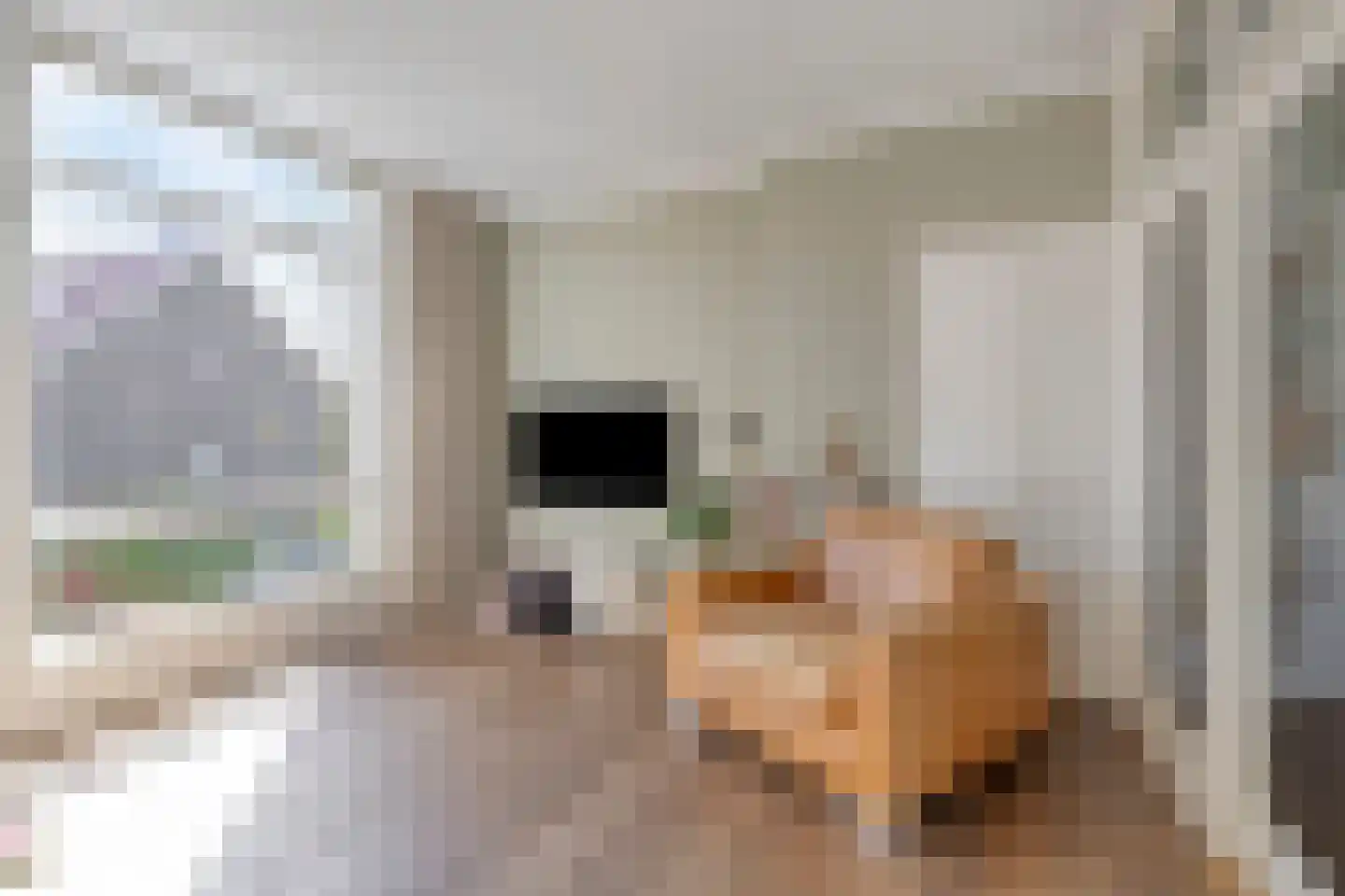 Mr. Troelstralaan 30 Amstelveen thumbnail 6