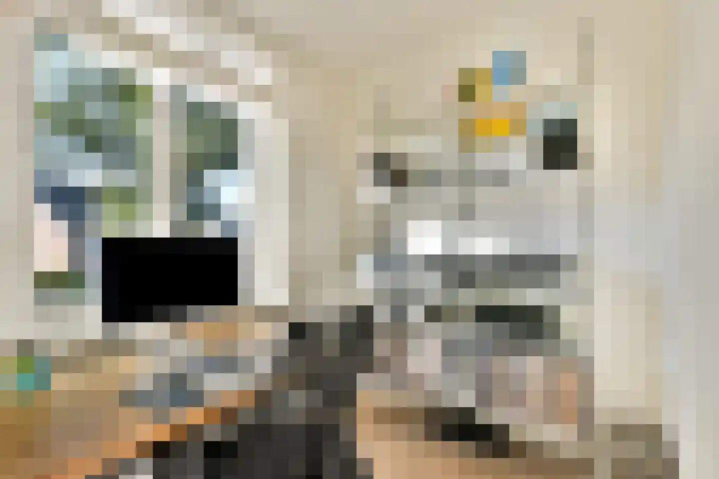 Mr. Troelstralaan 70 A Amstelveen thumbnail 5