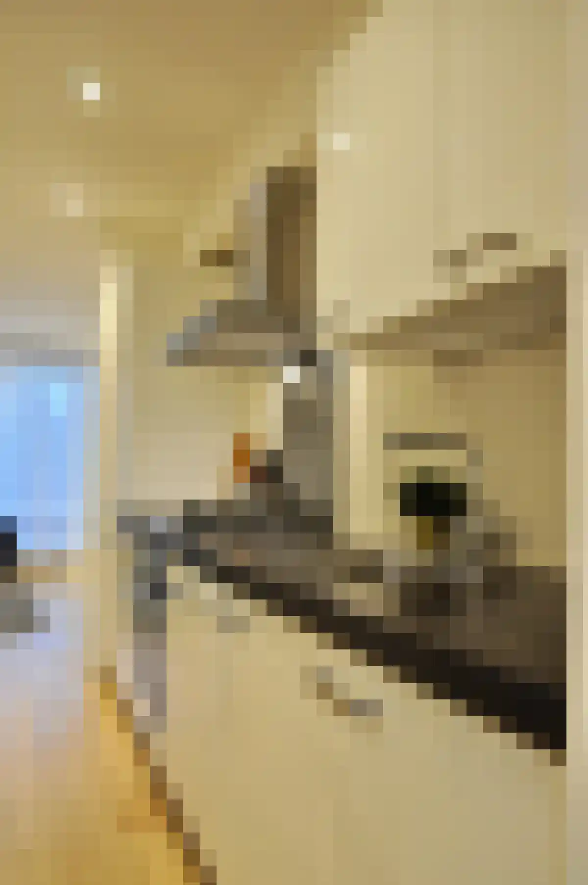 Mr. Troelstralaan 70 Amstelveen thumbnail 4