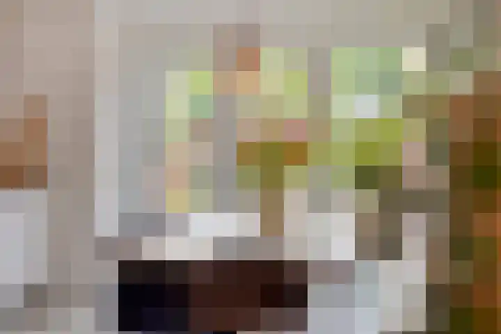 Mr. Troelstrastraat 4 Oldenzaal thumbnail 5