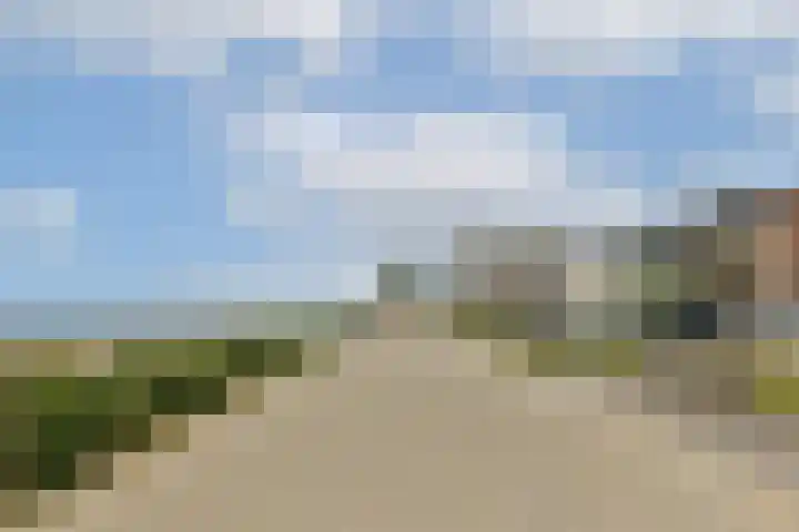Mr Troelstrastraat 41 Zandvoort thumbnail 48