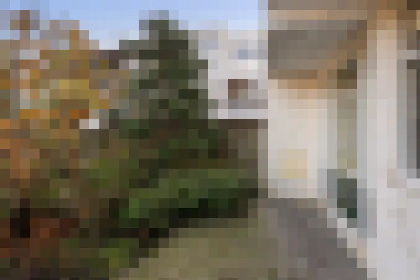 Mr. Troelstrastraat 51 Vlaardingen thumbnail 21